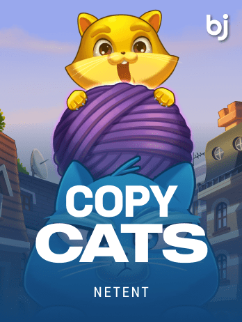 Copy Catspng